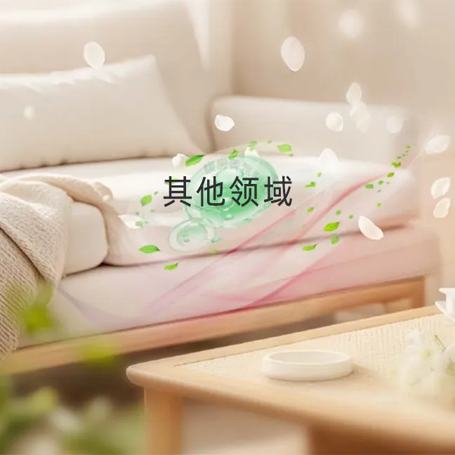 其他领域的应用