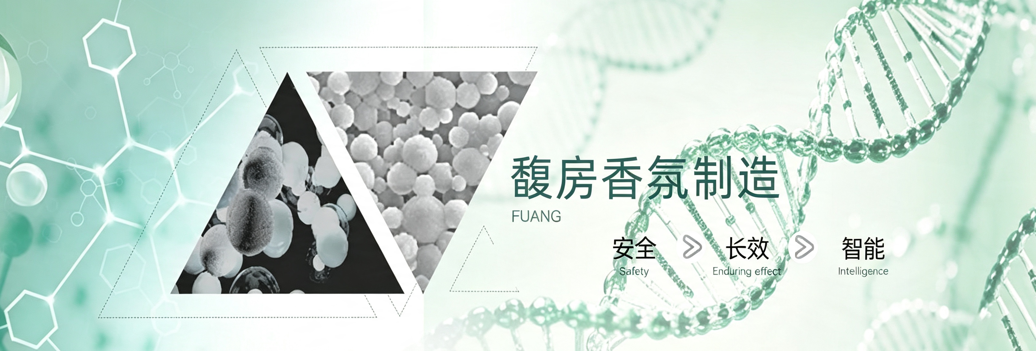 易优模板库
